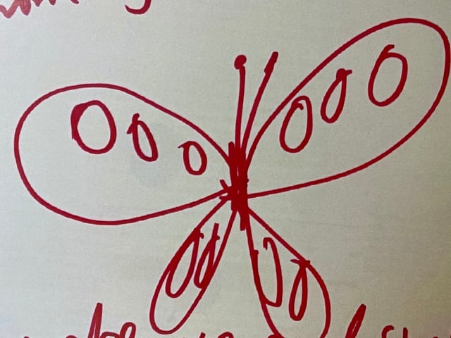 Damien Hirst Original Print, Limited Edition Print Plate Signed, - 4