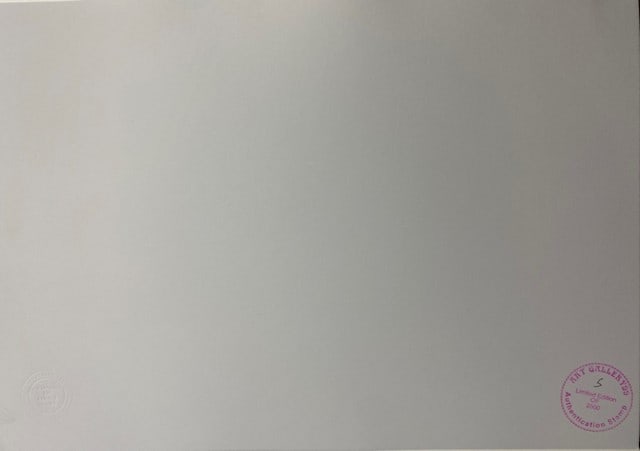 Damien Hirst Original Print, Limited Edition Print Plate Signed, - 6