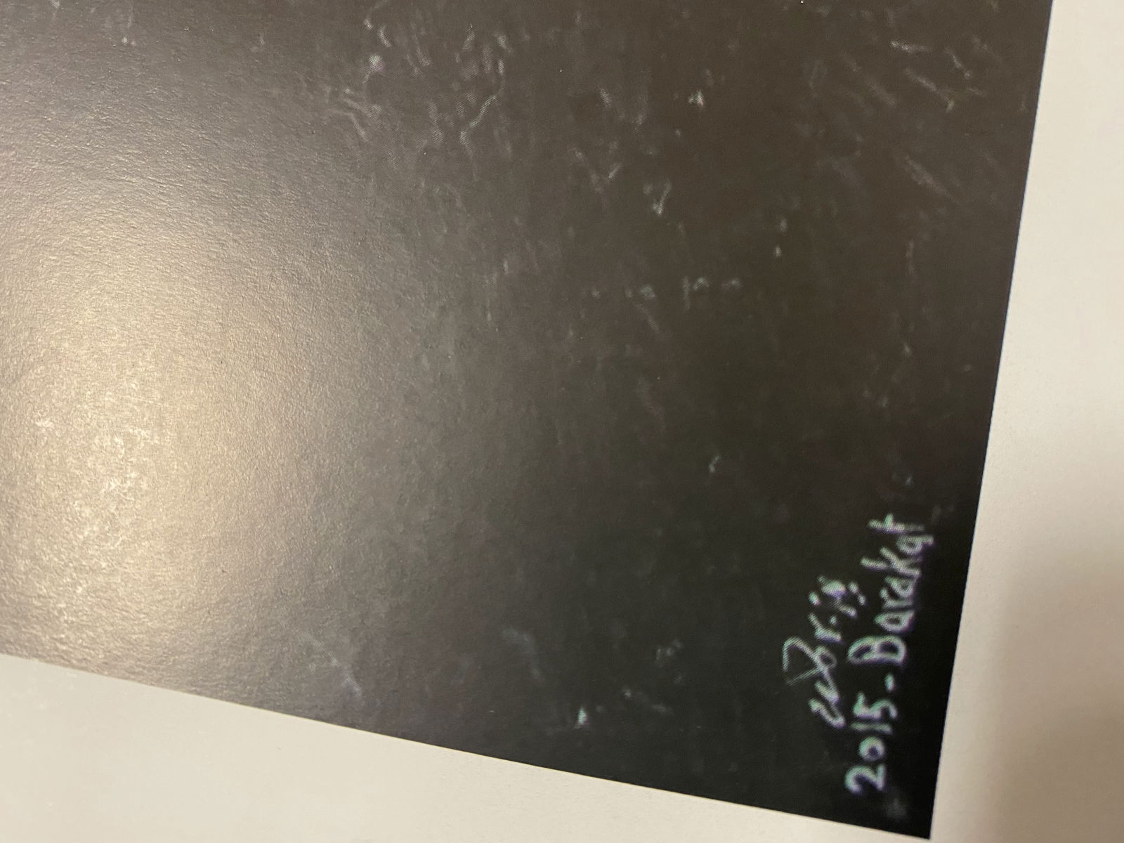 The Walled Off Hotel Poster- - 3