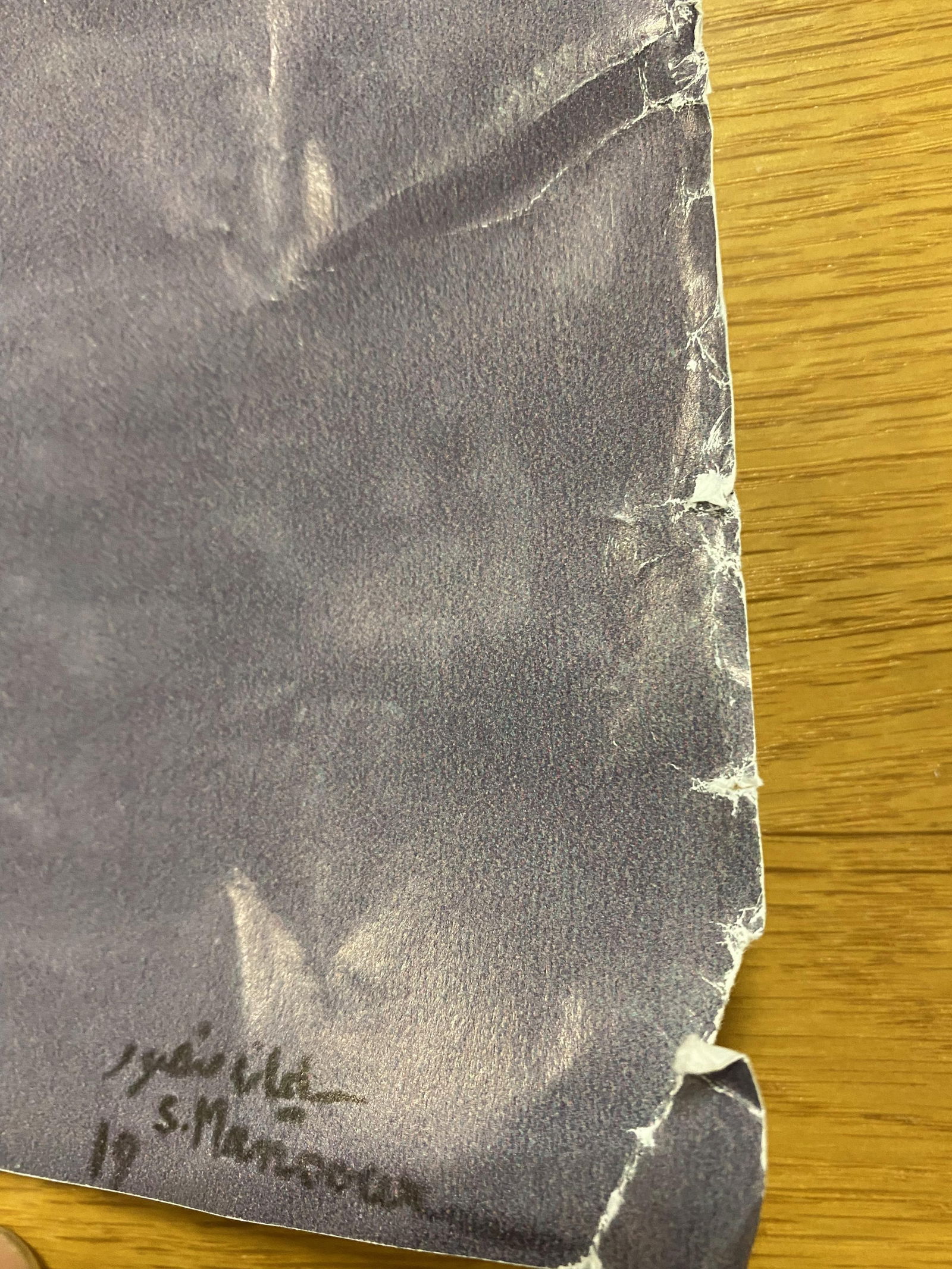 The Walled Off Hotel Poster, - 4