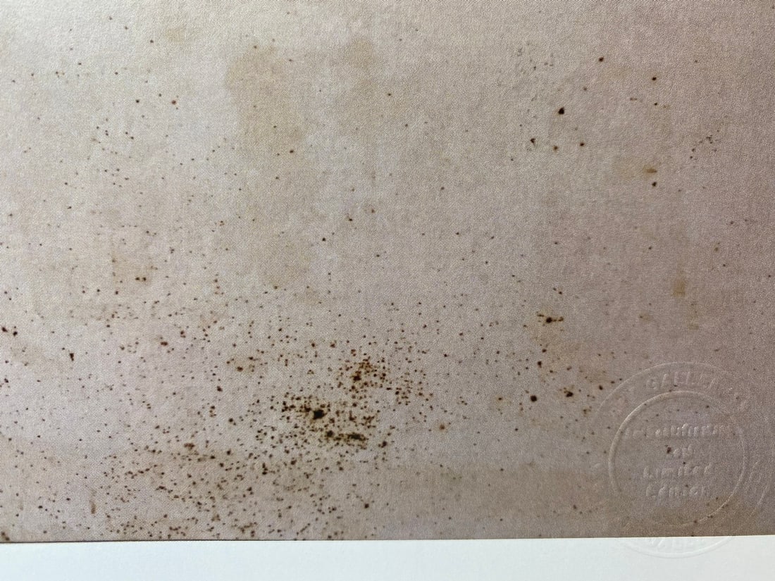 Pablo Picasso, Original Print, Limited Edition, Gallery Seal, Stamped, - 5