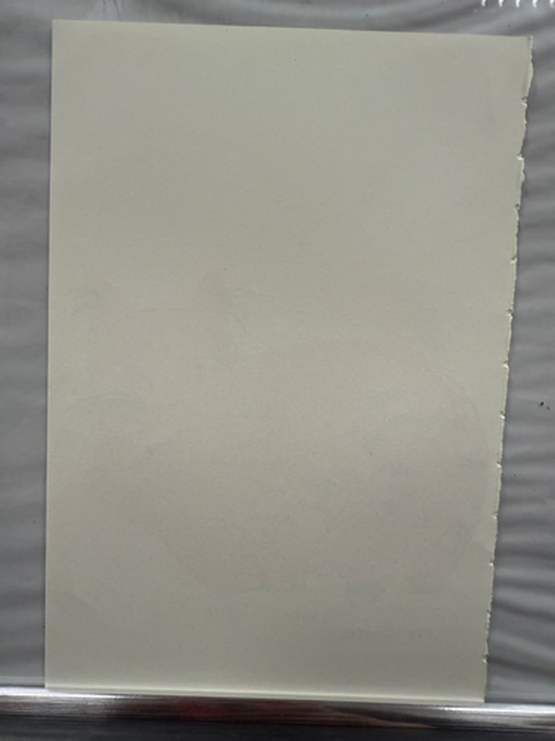 Andy Warhol, Page From a Book, 25 Cats,Sam and Blue Pussy, Rare, Edition, page Size- 22cm x 14cm. - 2