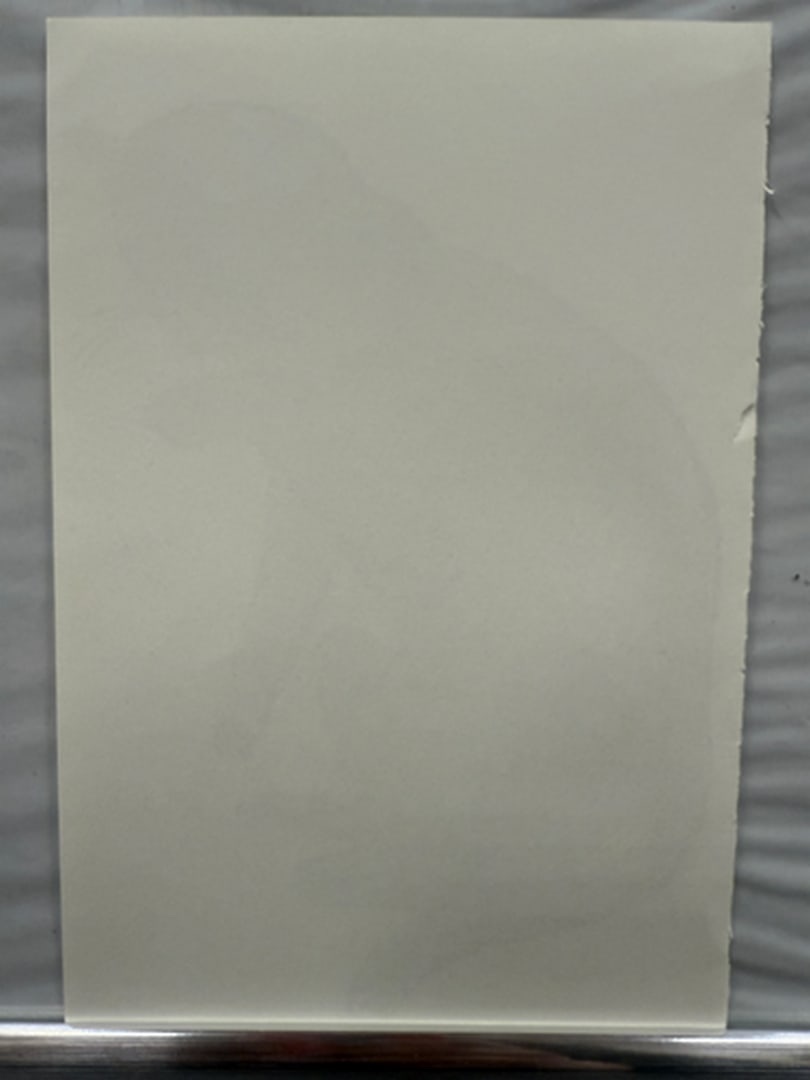 Andy Warhol, Page From a Book, 25 Cats,Sam and Blue Pussy, Rare, Edition, page Size- 22cm x 14cm. - 2