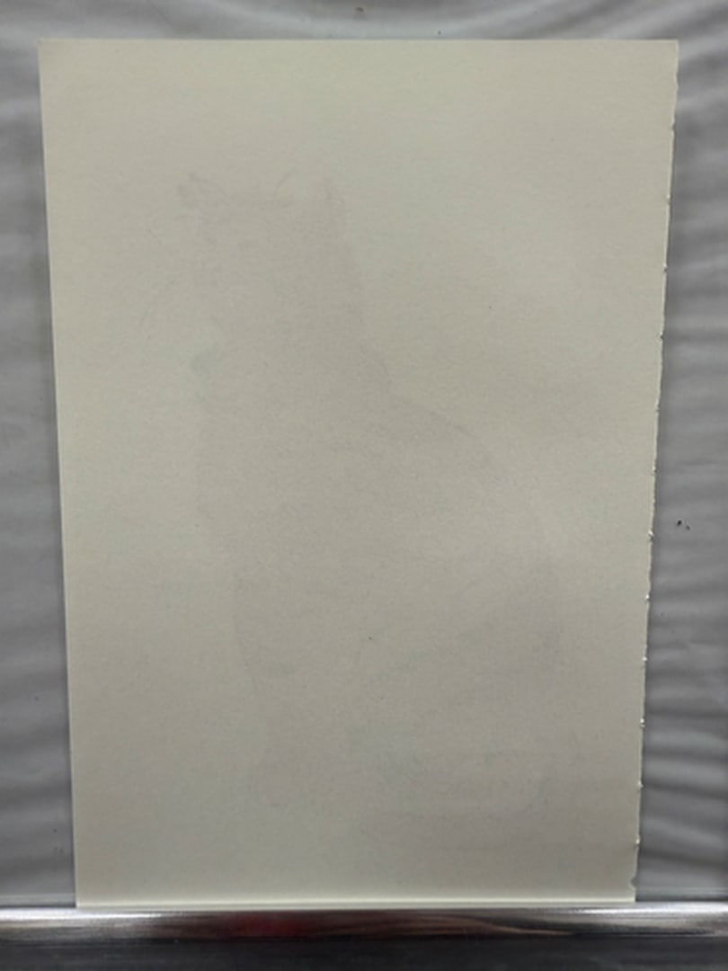 Andy Warhol, Page From a Book, 25 Cats,Sam and Blue Pussy, Rare, Edition, page Size- 22cm x 14cm. - 2