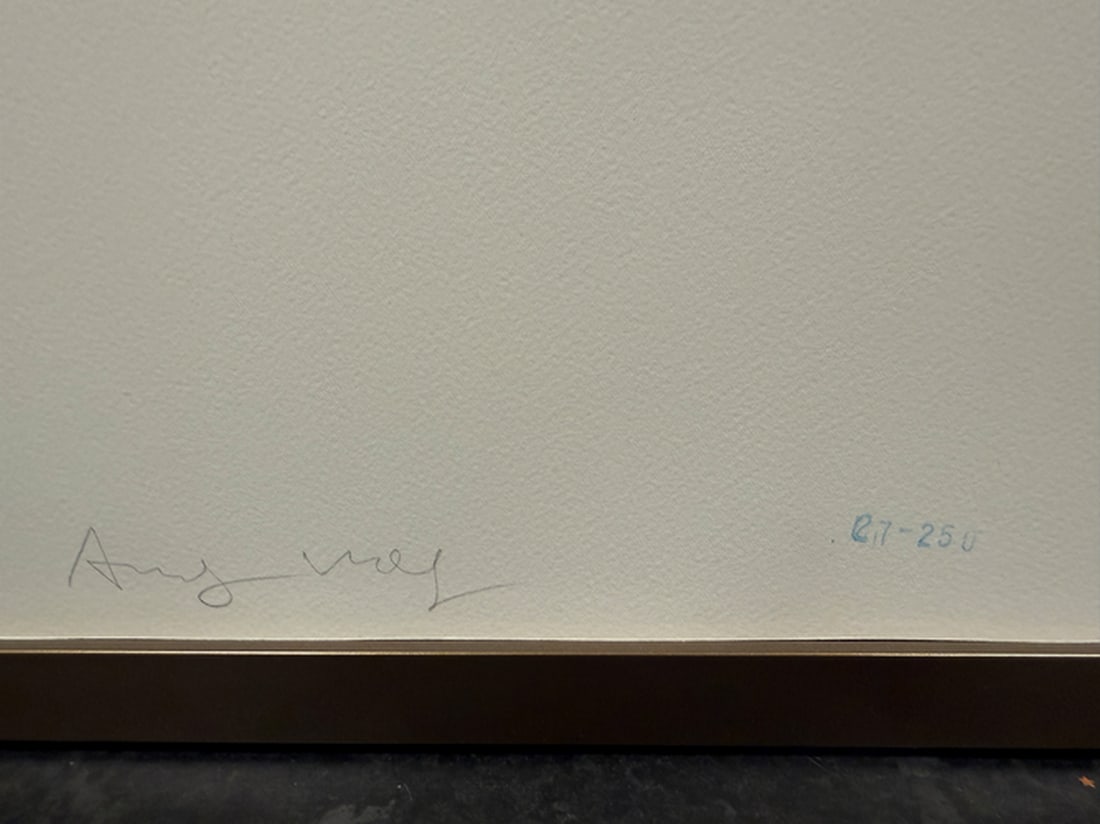 Andy Warhol, (After) Original Print, Limited Edition, Seal, Hand signed And Numbered - 3