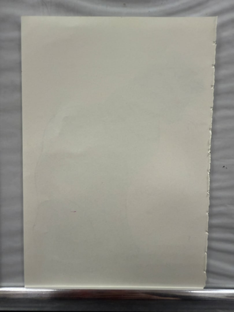 Andy Warhol, Page From a Book, 25 Cats,Sam and Blue Pussy, Rare, Edition, page Size- 22cm x 14cm. - 2