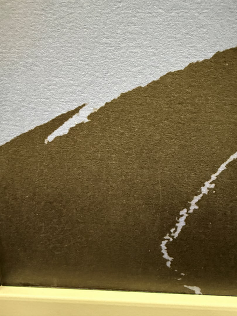 ANDY WARHOL RARE 1986 LMD ED LARGE FINE ART LITHOGRAPH PRINT~(23 1/2"" W X 23 5/8"" H) - 3