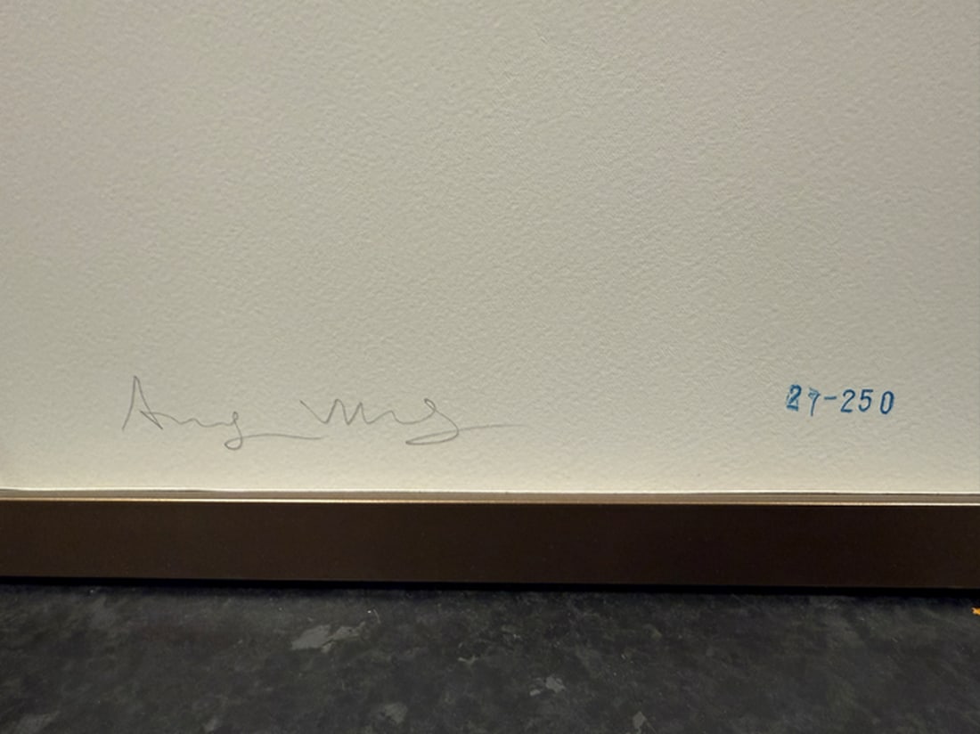 Andy Warhol, (After) Original Print, Limited Edition, Seal, Hand signed And Numbered - 2