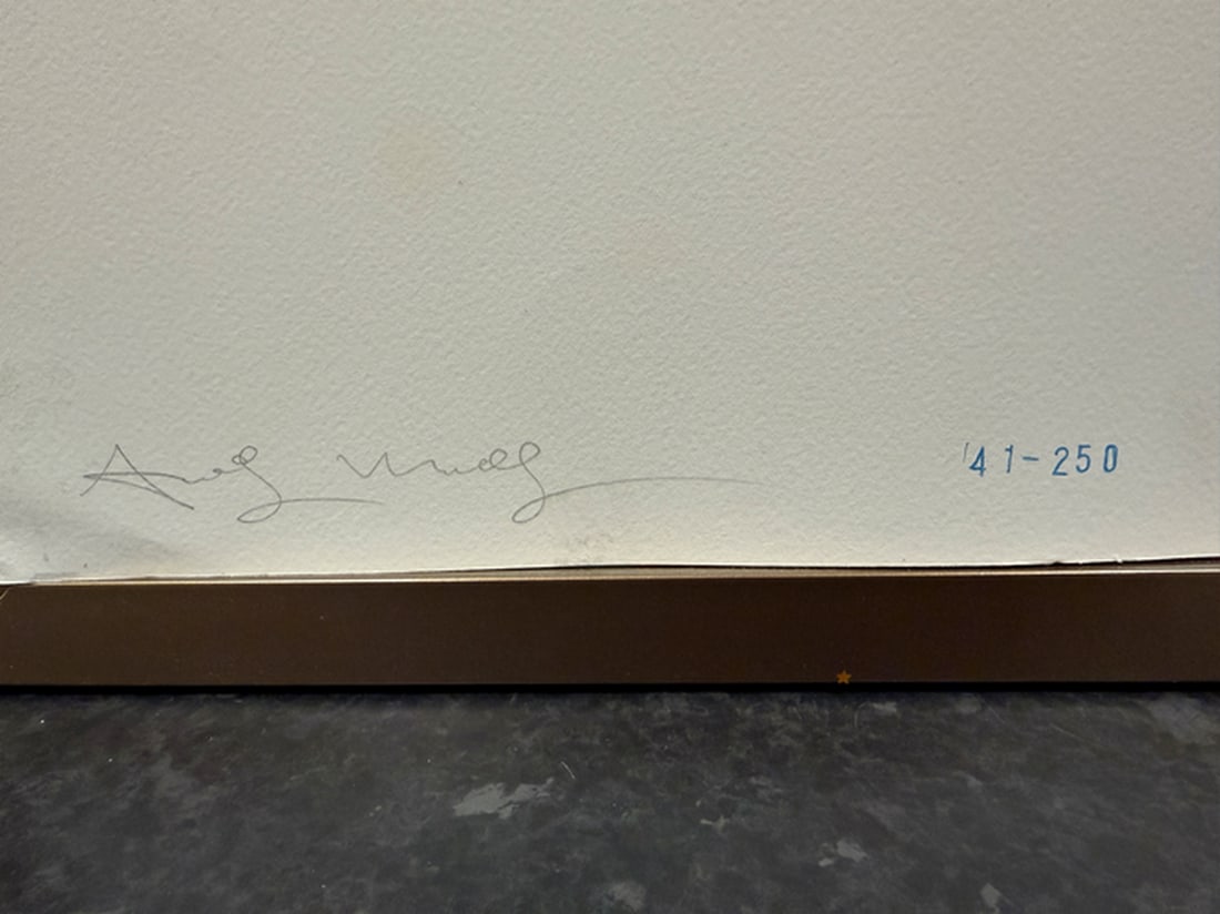 Andy Warhol, (After) Original Print, Limited Edition, Seal, Hand signed And Numbered - 4