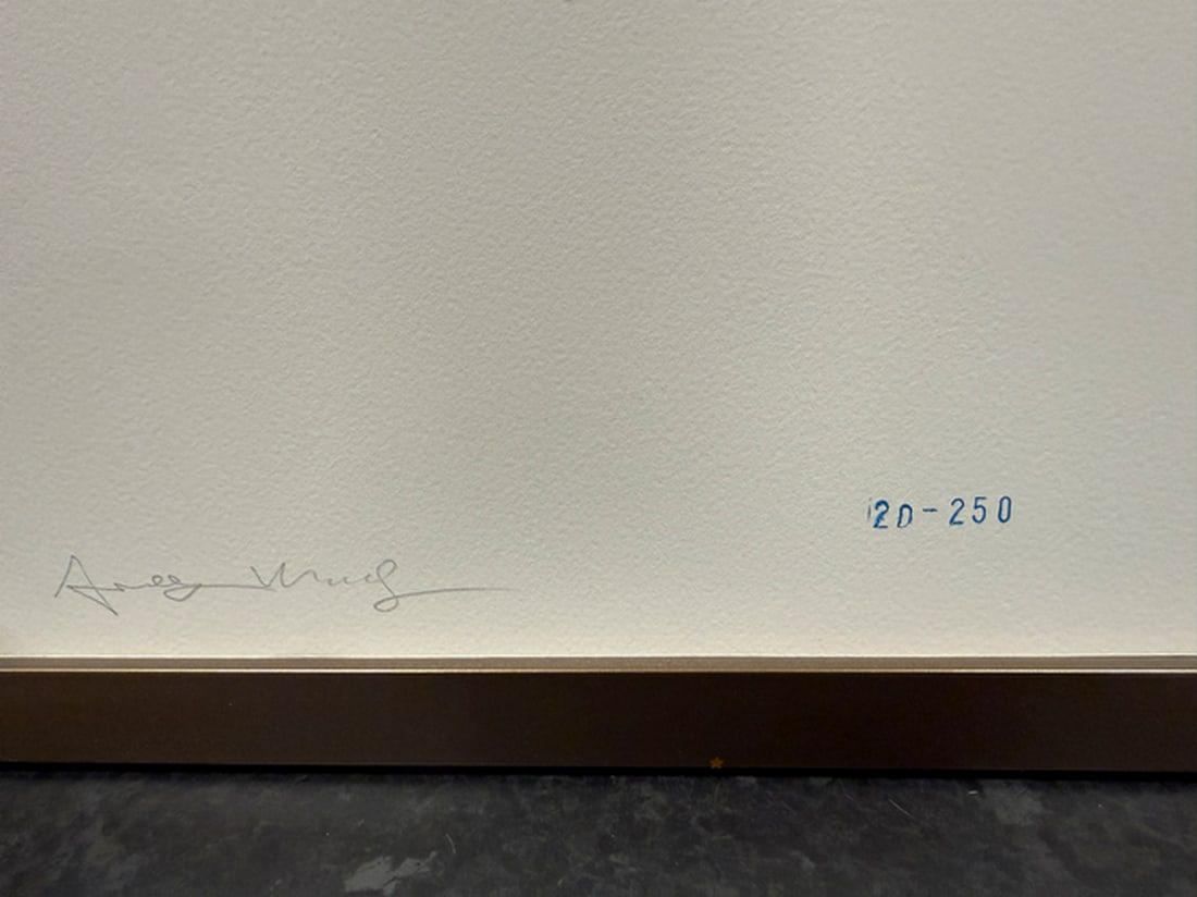 Andy Warhol, (After) Original Print, Limited Edition, Seal, Hand signed And Numbered - 3