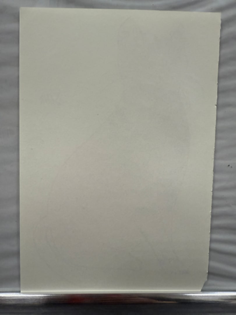 Andy Warhol, Page From a Book, 25 Cats,Sam and Blue Pussy, Rare, Edition, page Size- 22cm x 14cm. - 2