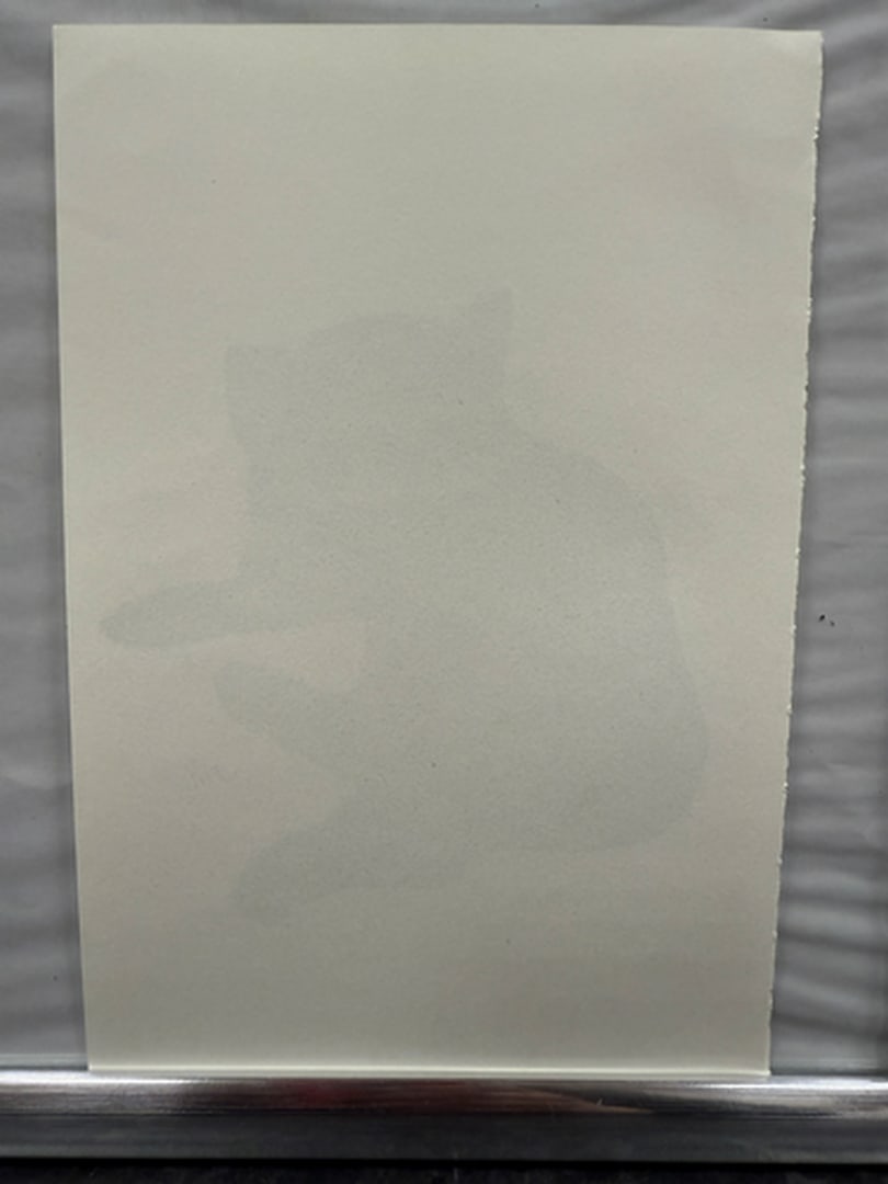 Andy Warhol, Page From a Book, 25 Cats,Sam and Blue Pussy, Rare, Edition, page Size- 22cm x 14cm. - 2