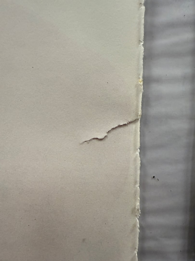 Andy Warhol, Page From a Book, 25 Cats,Sam and Blue Pussy, Rare, Edition, page Size- 22cm x 14cm. - 4