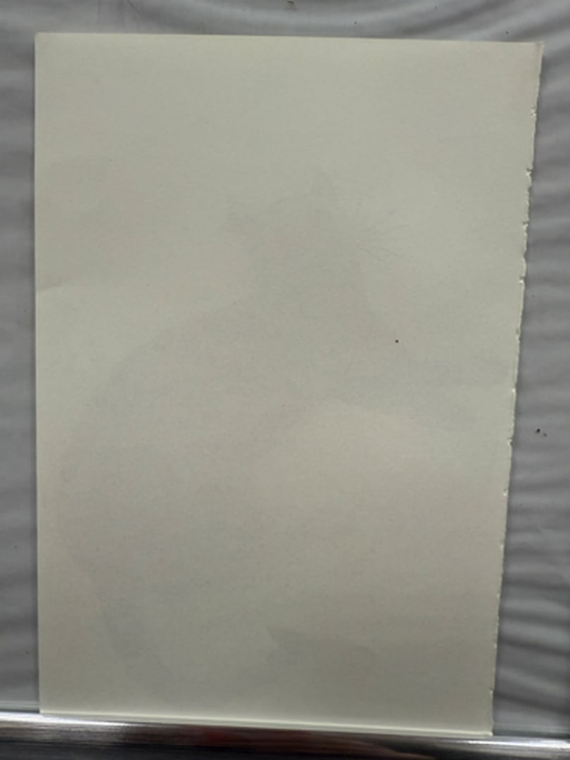 Andy Warhol, Page From a Book, 25 Cats,Sam and Blue Pussy, Rare, Edition, page Size- 22cm x 14cm. - 2