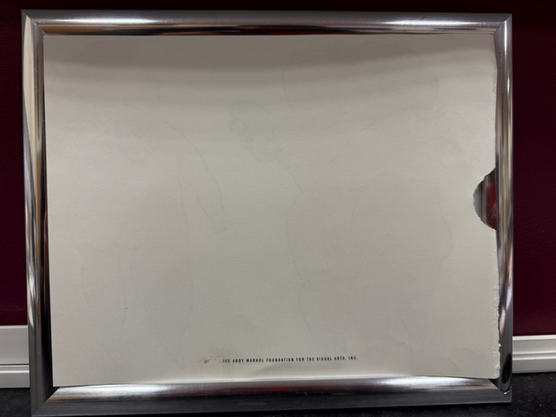 Andy Warhol- In the Bottom of My Garden Page., Rare, Edition, Print on paper, Size- 20cm x 25cm. - 5