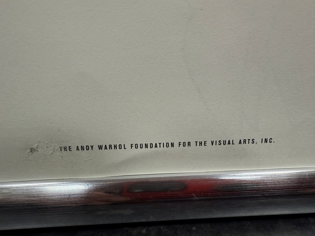 Andy Warhol- In the Bottom of My Garden Page., Rare, Edition, Print on paper, Size- 20cm x 25cm. - 6