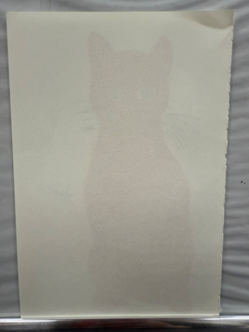 Andy Warhol, Page From a Book, 25 Cats,Sam and Blue Pussy, Rare, Edition, page Size- 22cm x 14cm. - 2