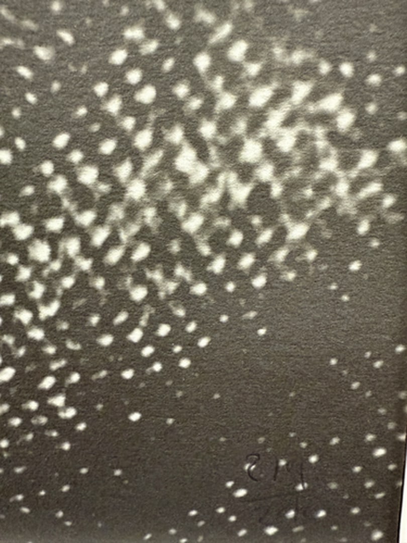 ANDY WARHOL RARE 1986 LMD ED LARGE FINE ART LITHOGRAPH PRINT~(23 1/2"" W X 23 5/8"" H) - 3