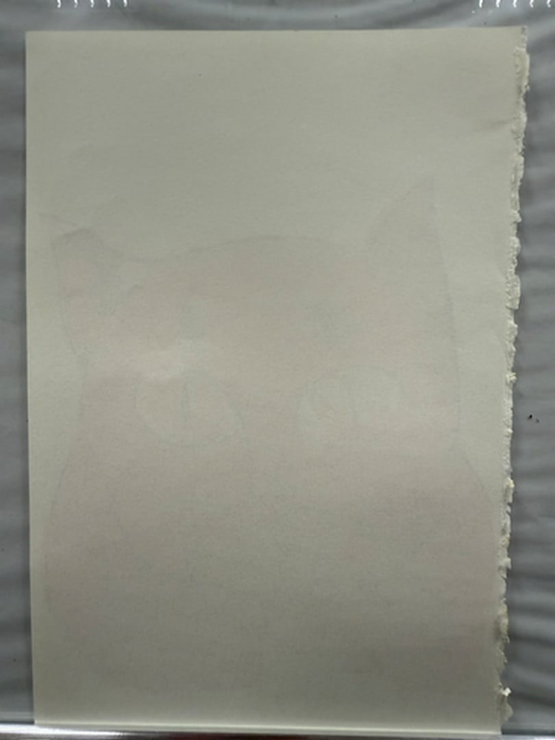 Andy Warhol, Page From a Book, 25 Cats,Sam and Blue Pussy, Rare, Edition, page Size- 22cm x 14cm. - 3