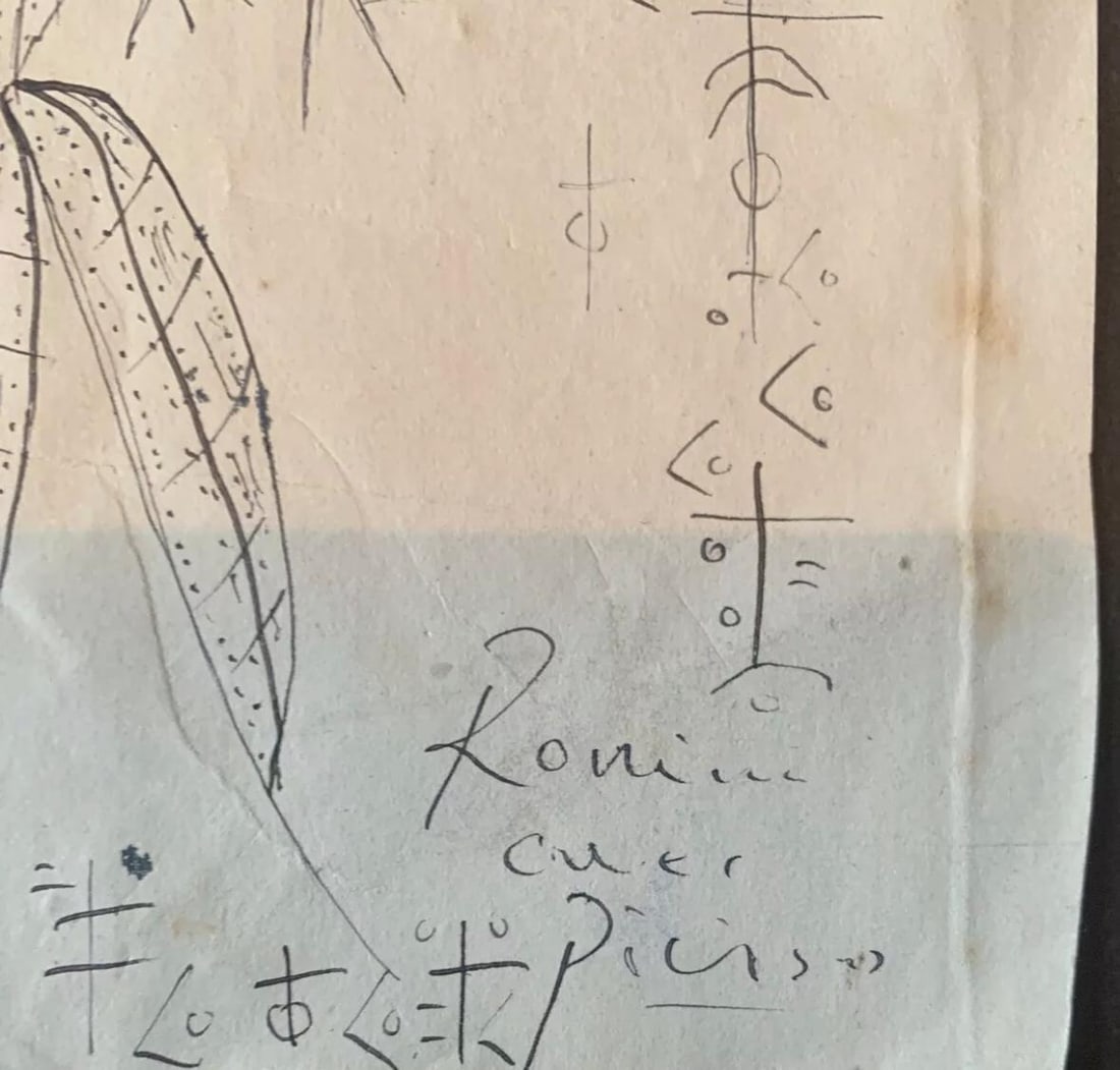 Picasso, Original Artwork, ink Drawing, Signed, - 5