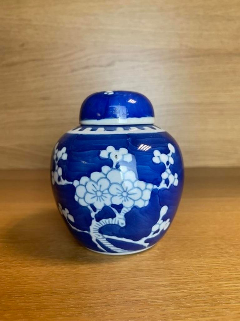 Chinese antique blue and white ice plum jar small jar - 2