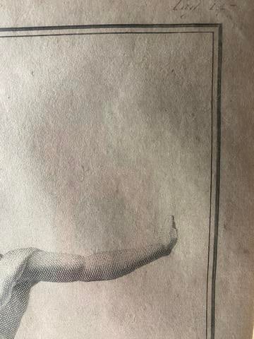 Antique, Carlo Nikki Ancient Roman Statue,18th Century, Rare Limited Edition, - 6