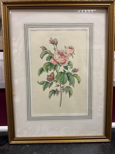 Watercolour Painting of Pink Roses, Signed By The Artist,: Watercolour Painting of Pink Roses, Signed By The Artist,