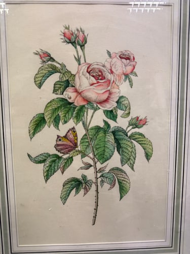 Watercolour Painting of Pink Roses, Signed By The Artist, - 2