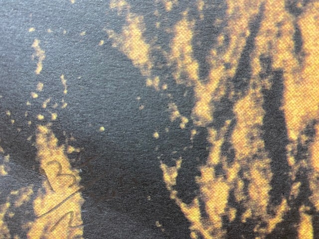 Andy Warhol, (After) Original Limited Edition Print, Signed, Seal, Stamped, - 4