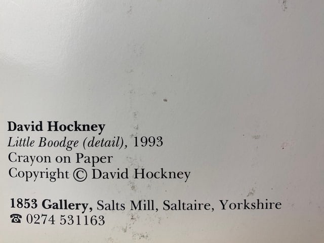 David Hockney. Little Boodge Is A 1993 Lithograph - 3