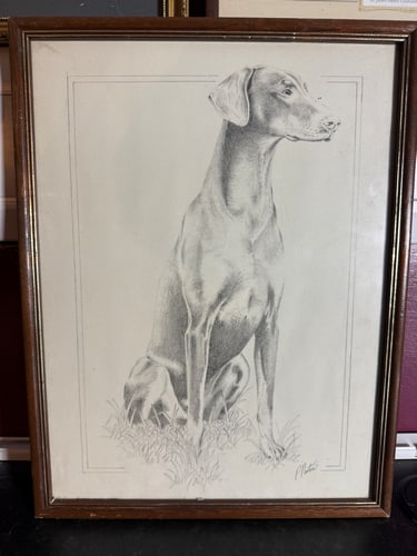 Pencil, Drawing, Signed,: Pencil, Drawing, Signed,