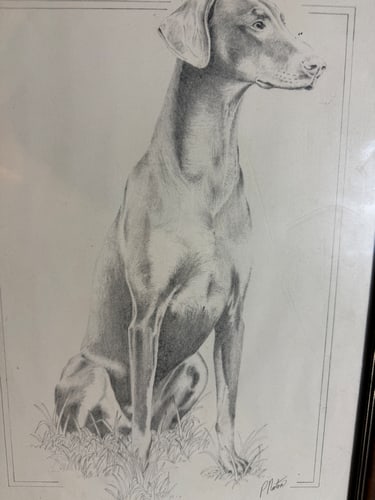 Pencil, Drawing, Signed, - 2