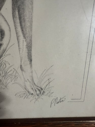 Pencil, Drawing, Signed, - 3