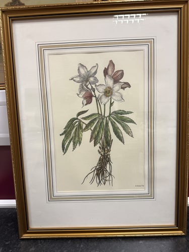 Watercolour Painting of Pink Roses, Signed By The Artist,: Watercolour Painting of Pink Roses, Signed By The Artist,