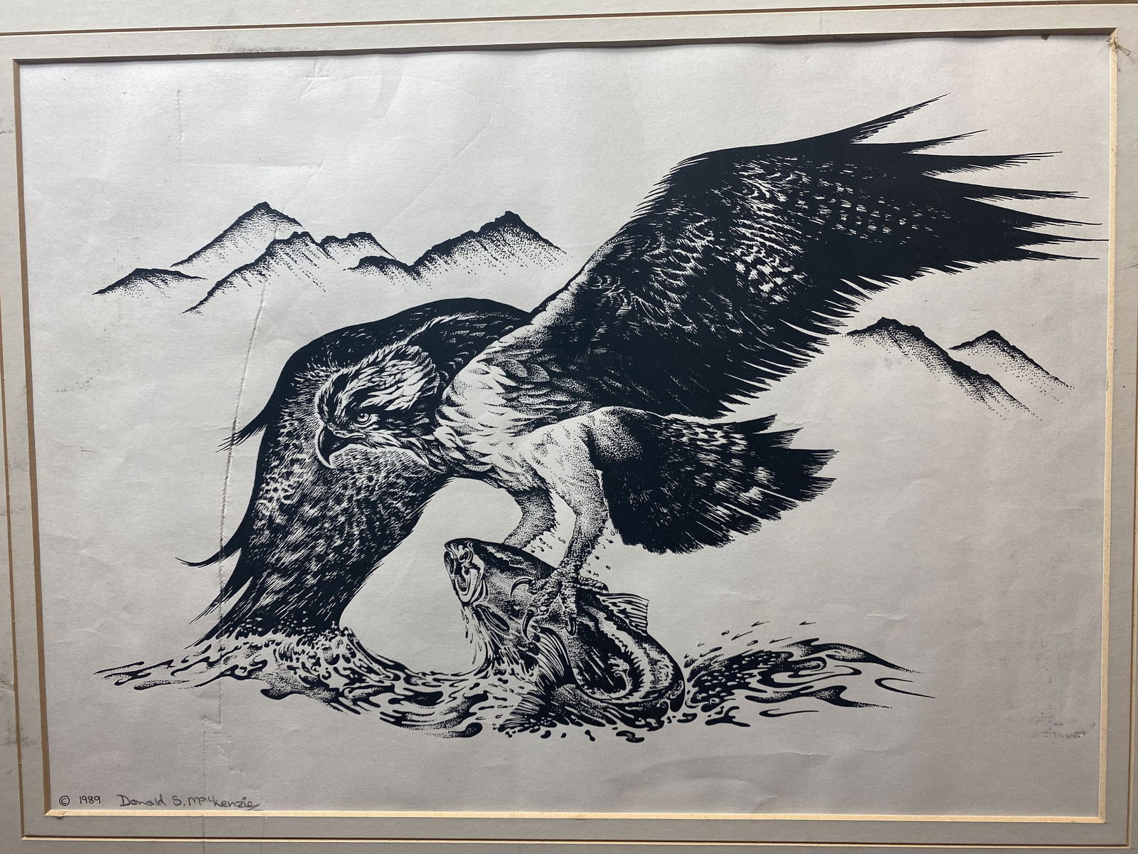 Donald MacKenzie, Signed In Pencil, Osprey and A Fish, Original Drawing Signed - 2