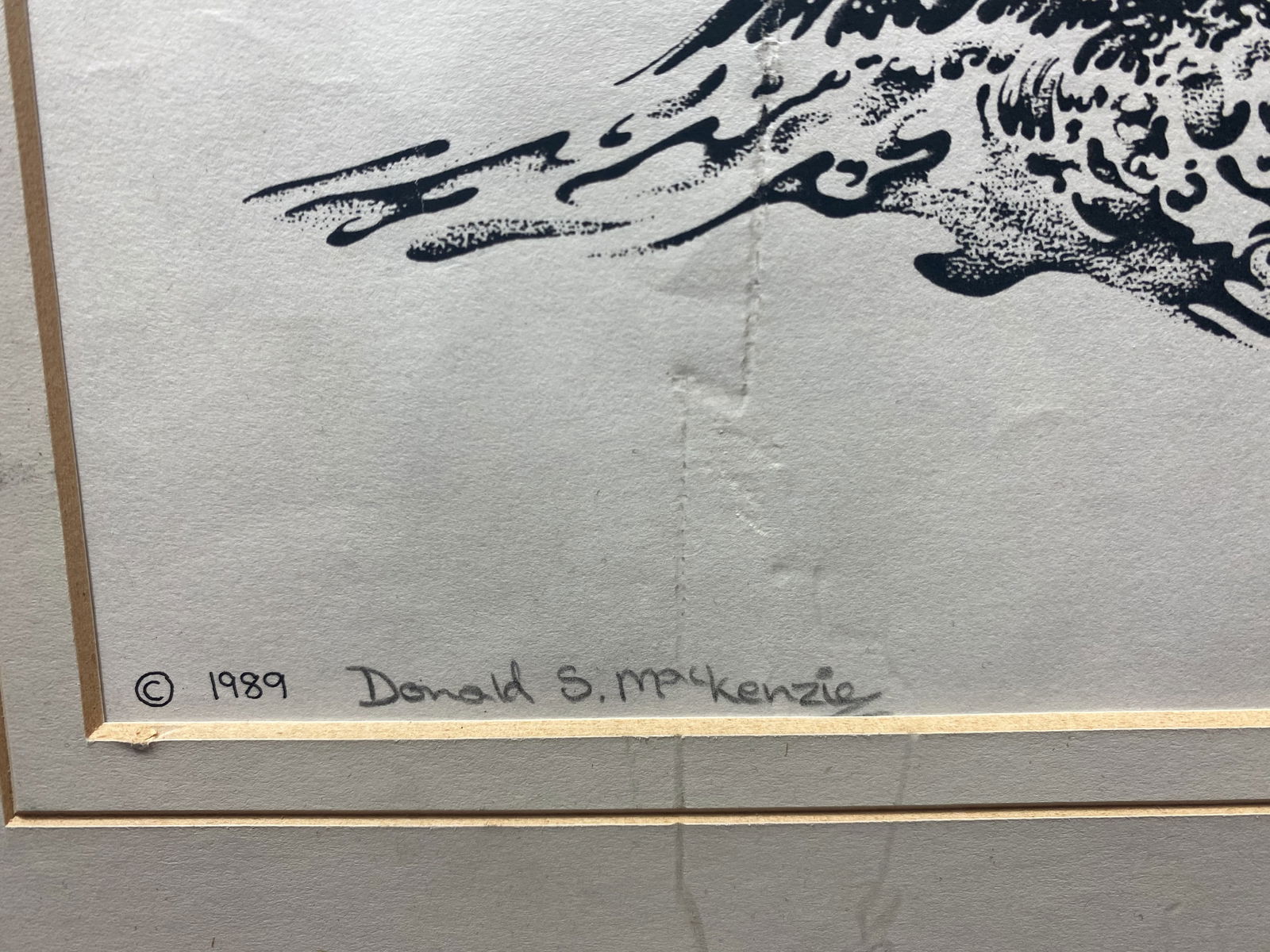 Donald MacKenzie, Signed In Pencil, Osprey and A Fish, Original Drawing Signed - 3