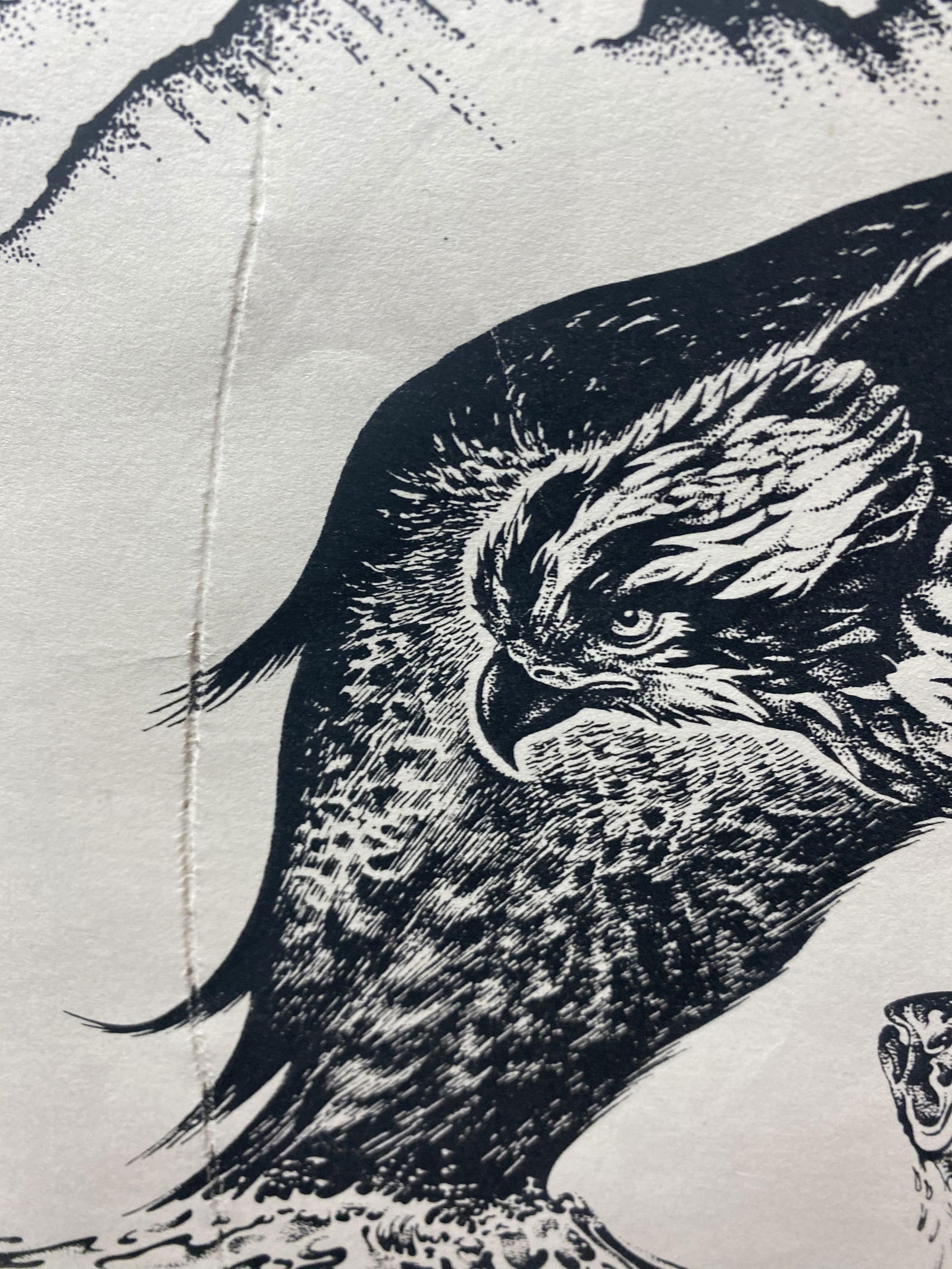 Donald MacKenzie, Signed In Pencil, Osprey and A Fish, Original Drawing Signed - 4