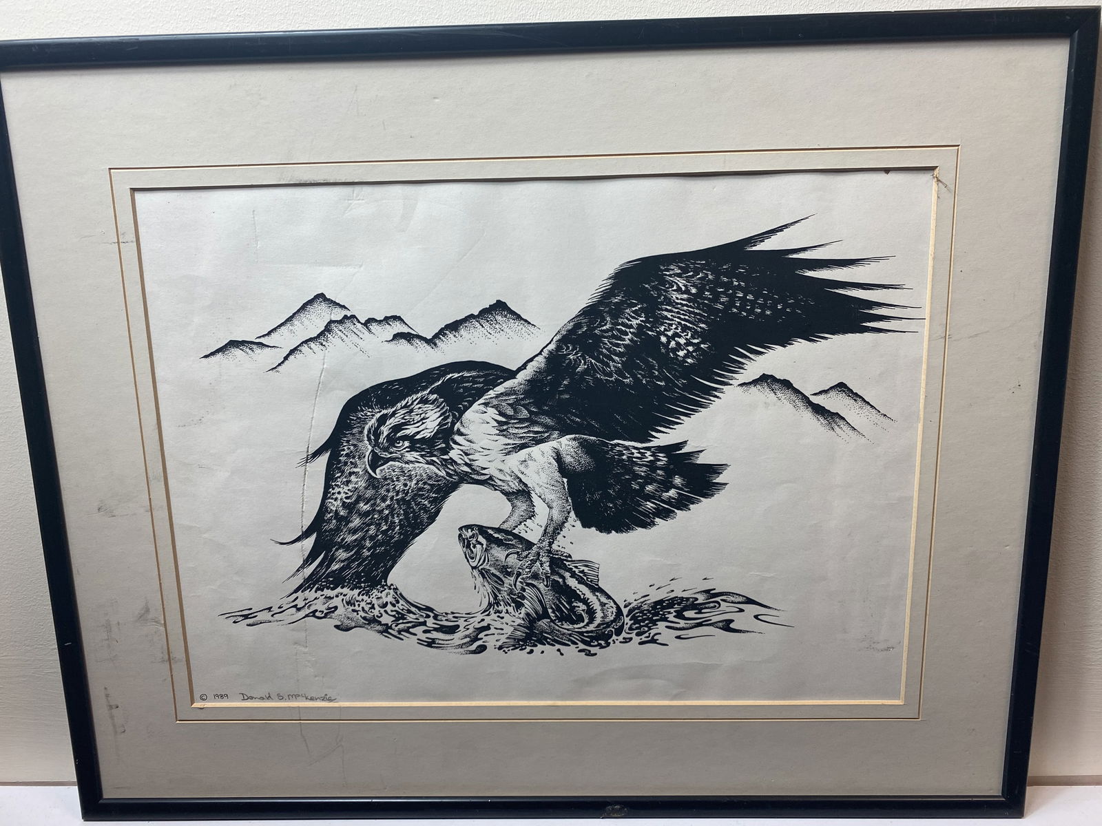 Donald MacKenzie, Signed In Pencil, Osprey and A Fish, Original Drawing Signed - 5