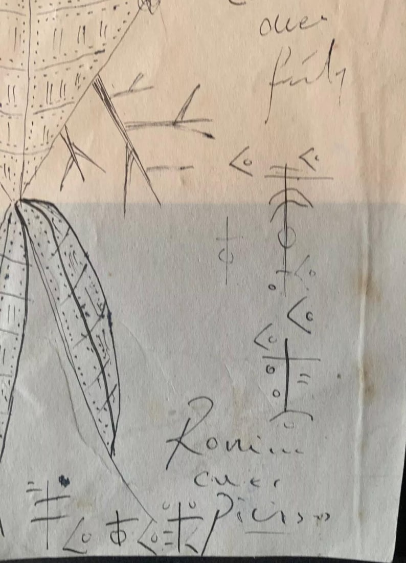 Picasso, Original Artwork, ink Drawing, Signed, - 3