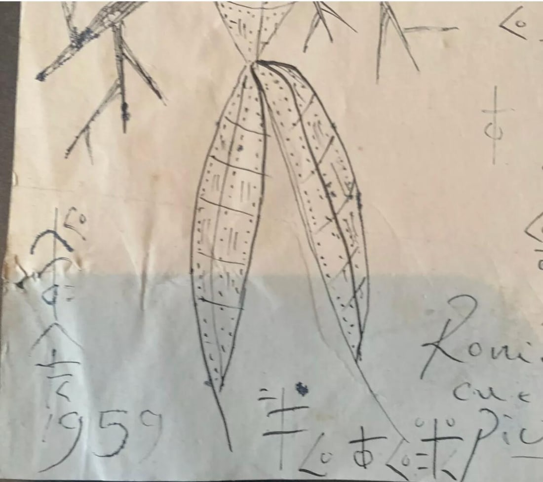 Picasso, Original Artwork, ink Drawing, Signed, - 4