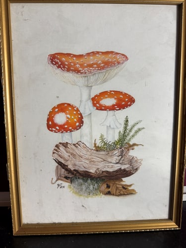 Watercolour, Vintage, WM Otto Mushrooms, Original, Signed,: Watercolour, Vintage, WM Otto Mushrooms, Original, Signed,