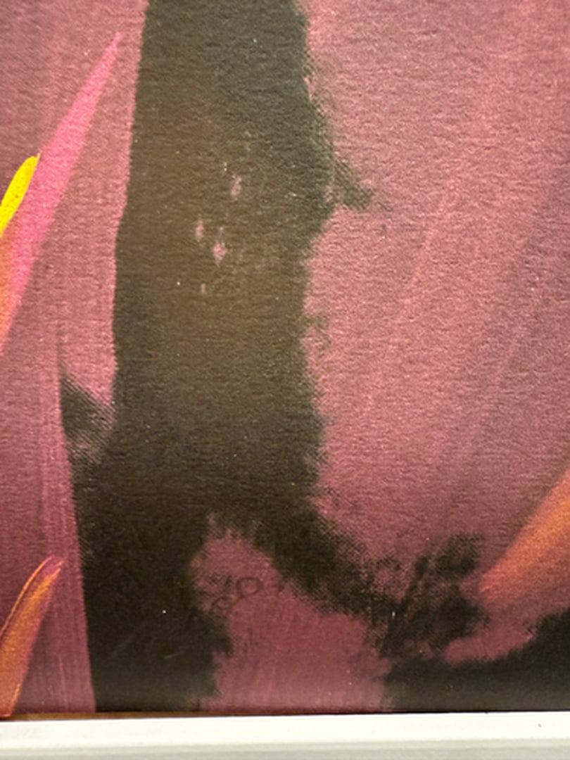 ANDY WARHOL RARE 1986 LMD ED LARGE FINE ART LITHOGRAPH PRINT~(23 1/2"""" W X 23 5/8"""" H) - 3