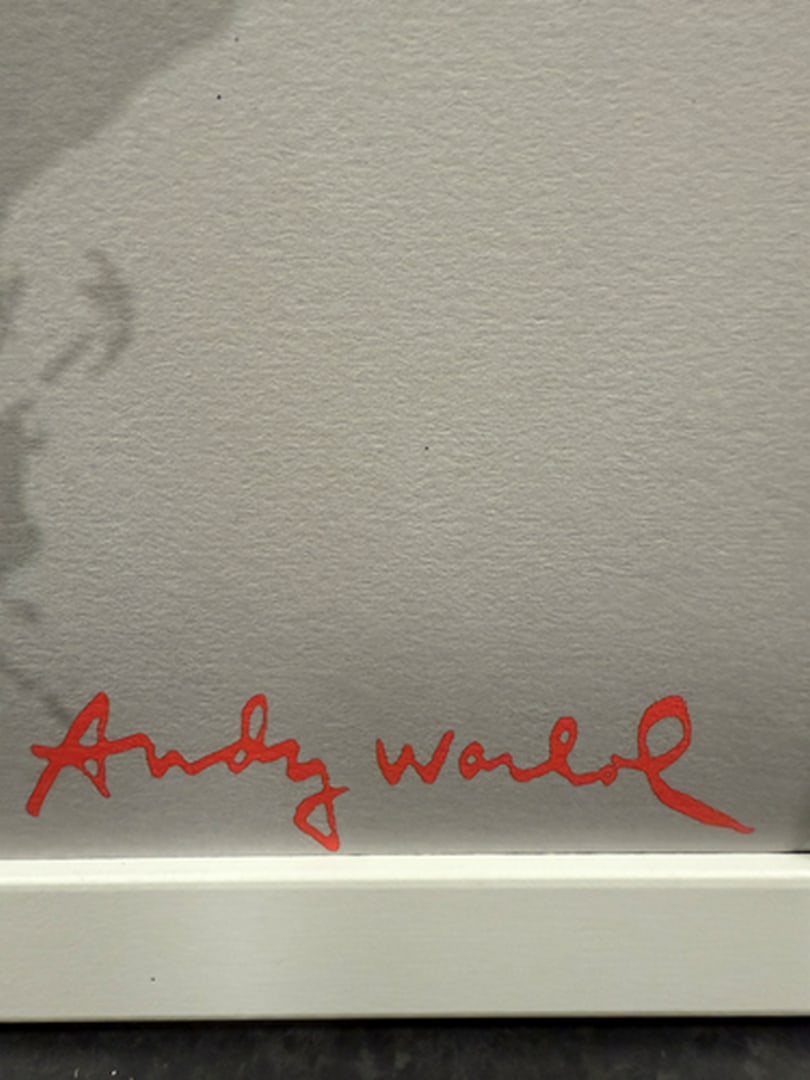 ANDY WARHOL RARE 1986 LMD ED LARGE FINE ART LITHOGRAPH PRINT~(23 1/2"""" W X 23 5/8"""" H) - 2