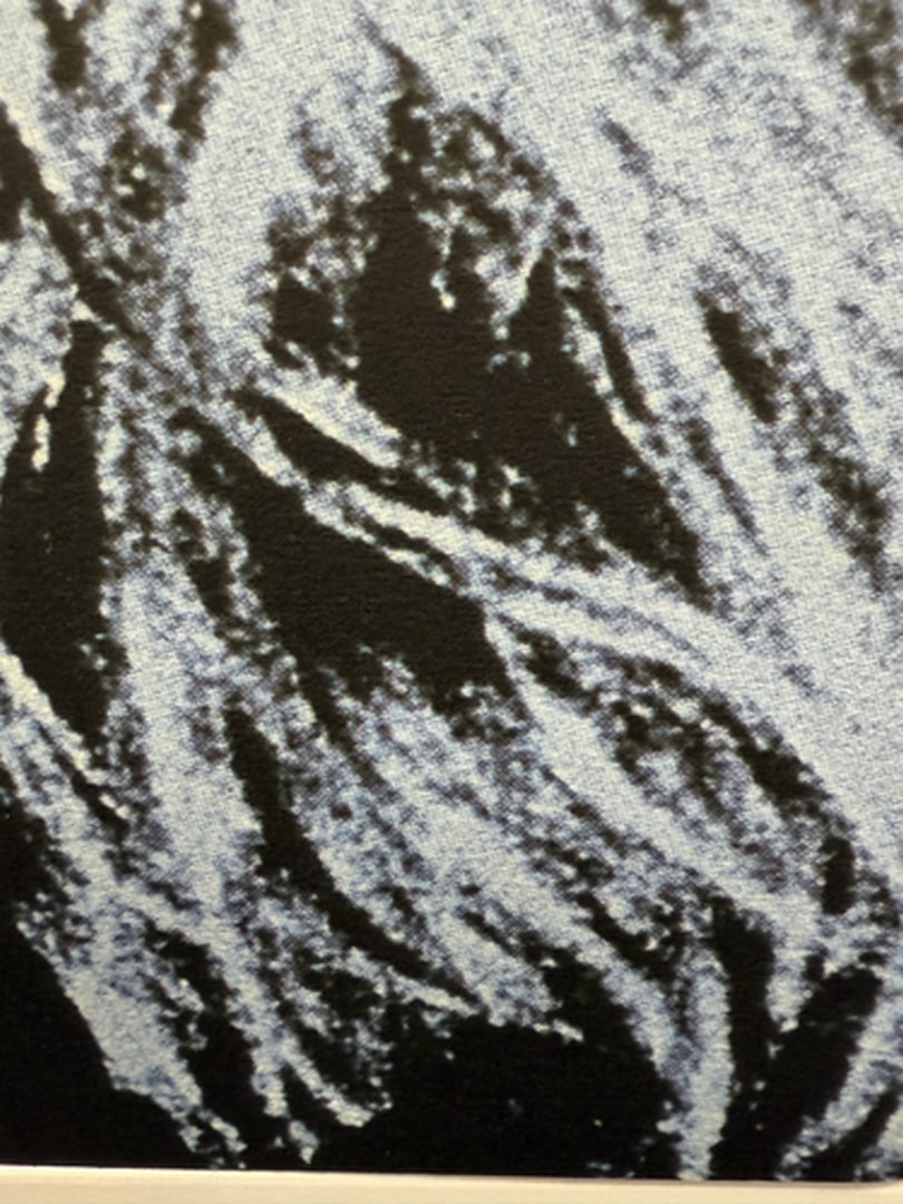 ANDY WARHOL RARE 1986 LMD ED LARGE FINE ART LITHOGRAPH PRINT~(23 1/2"""" W X 23 5/8"""" H) - 3