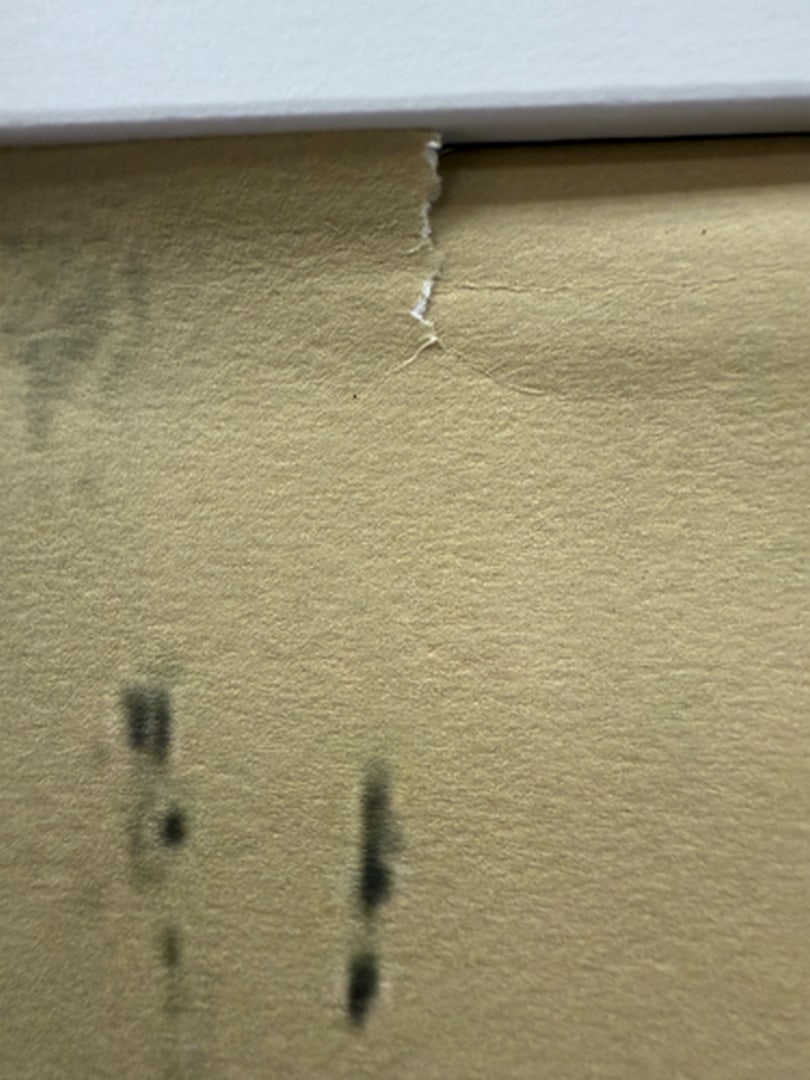 ANDY WARHOL RARE 1986 LMD ED LARGE FINE ART LITHOGRAPH PRINT~(23 1/2"""" W X 23 5/8"""" H) - 4