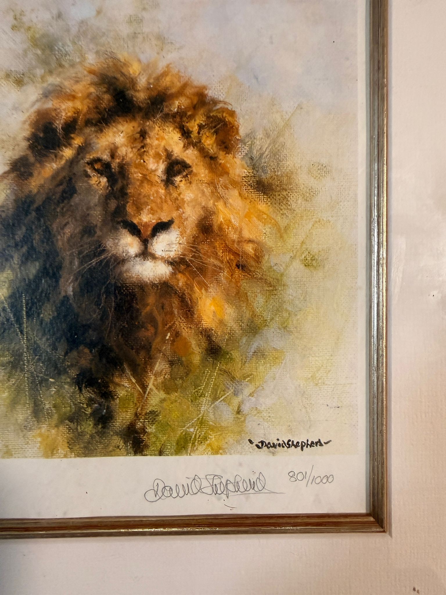 David Shepherd The Cameo Collection ? Lion, signed, limited edition of 1000(801/1000) (1 of 4)
