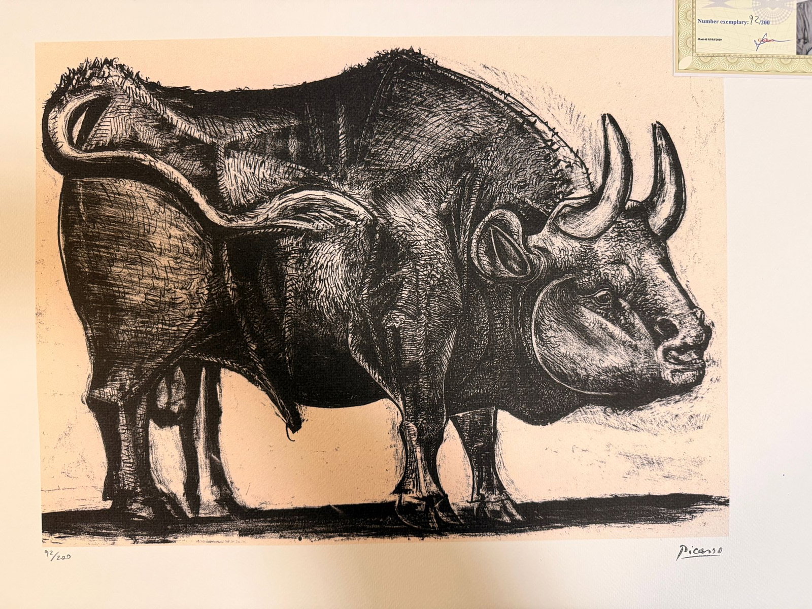 Pablo Picasso Lithography off set cm 50x70 Signing on sheet with certificate (1 of 6)