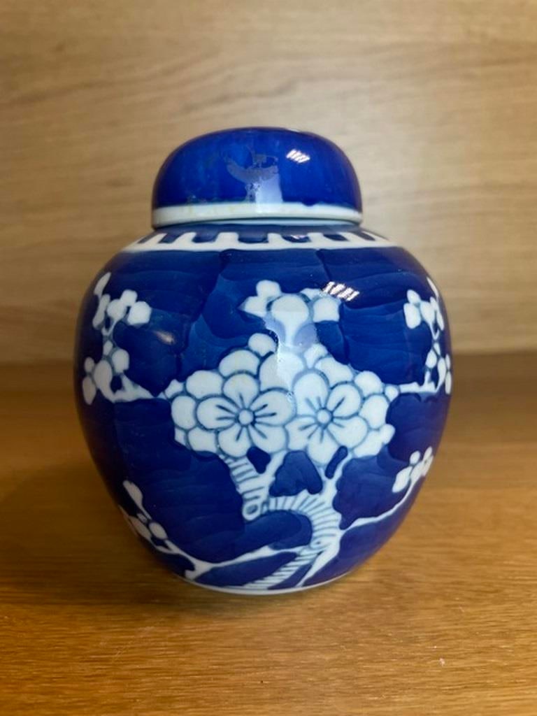 Chinese antique blue and white ice plum jar small jar (1 of 4)