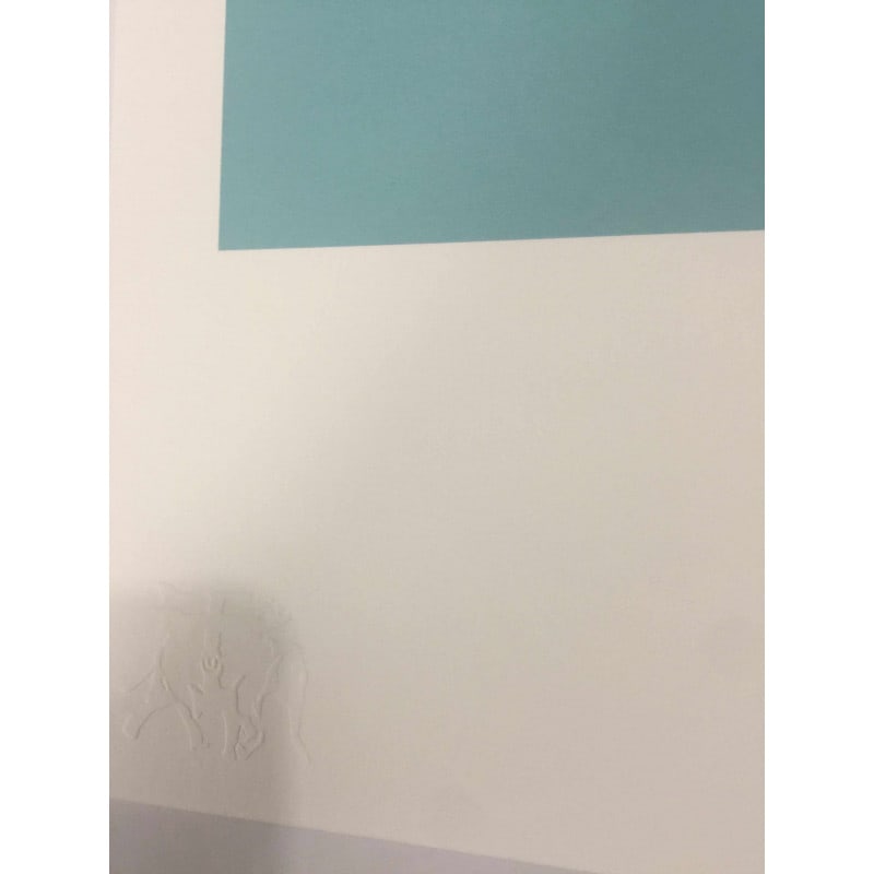 Banksy, In the manner of”, Limited Edition, Signed Print, Seal, Stamp, - 6