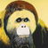 Andy Warhol, Orangutan 1983 silkscreen FRAMED - 2